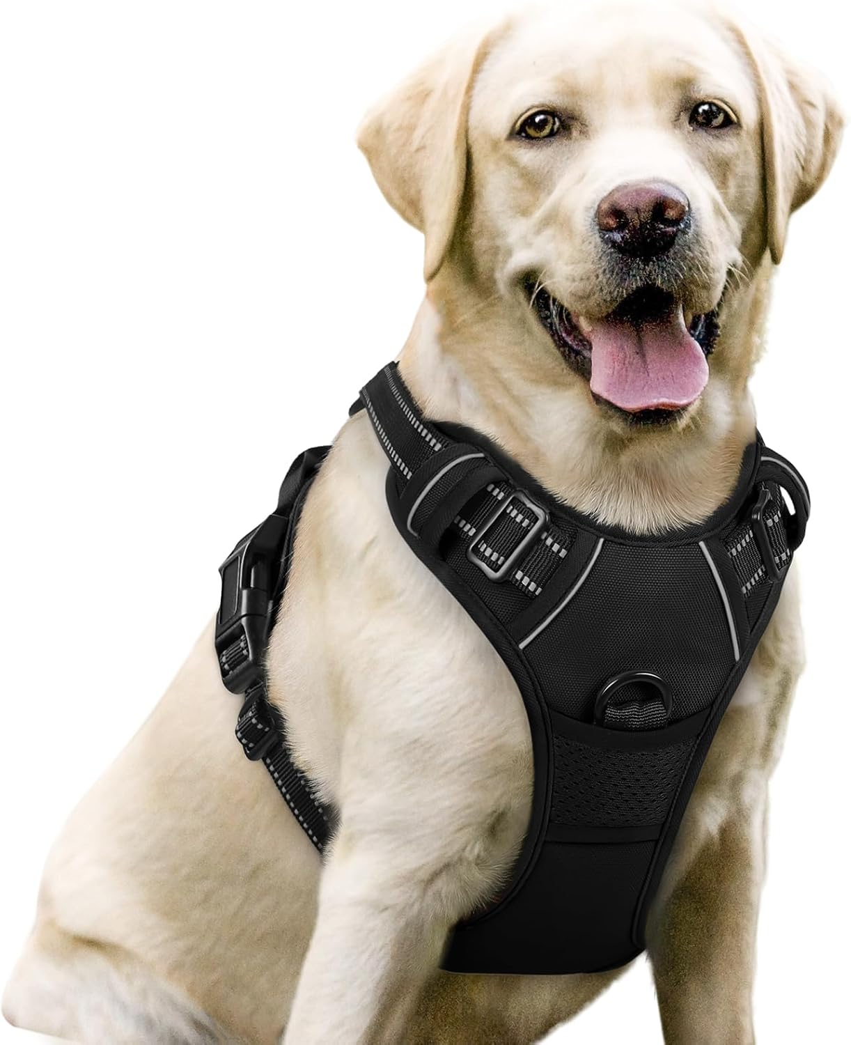 rabbitgoo Dog Harness Large Dog No Pull Pet Harness with 2 Leash Clips, Adjustable Soft Padded Pet Vest Harness, Reflective No-Choke with Easy Control Handle for Training or Walking, Black, L